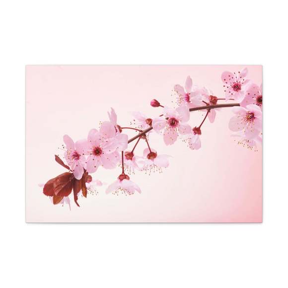 Single Cherry Blossom Forest Floral Nature Photography Canvas Wall Art for Home